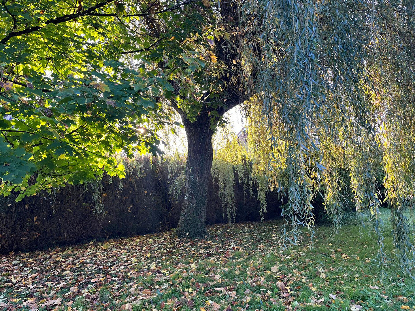 Maison 123 m² à POUILLEY LES VIGNES à vendre annonce immobilière