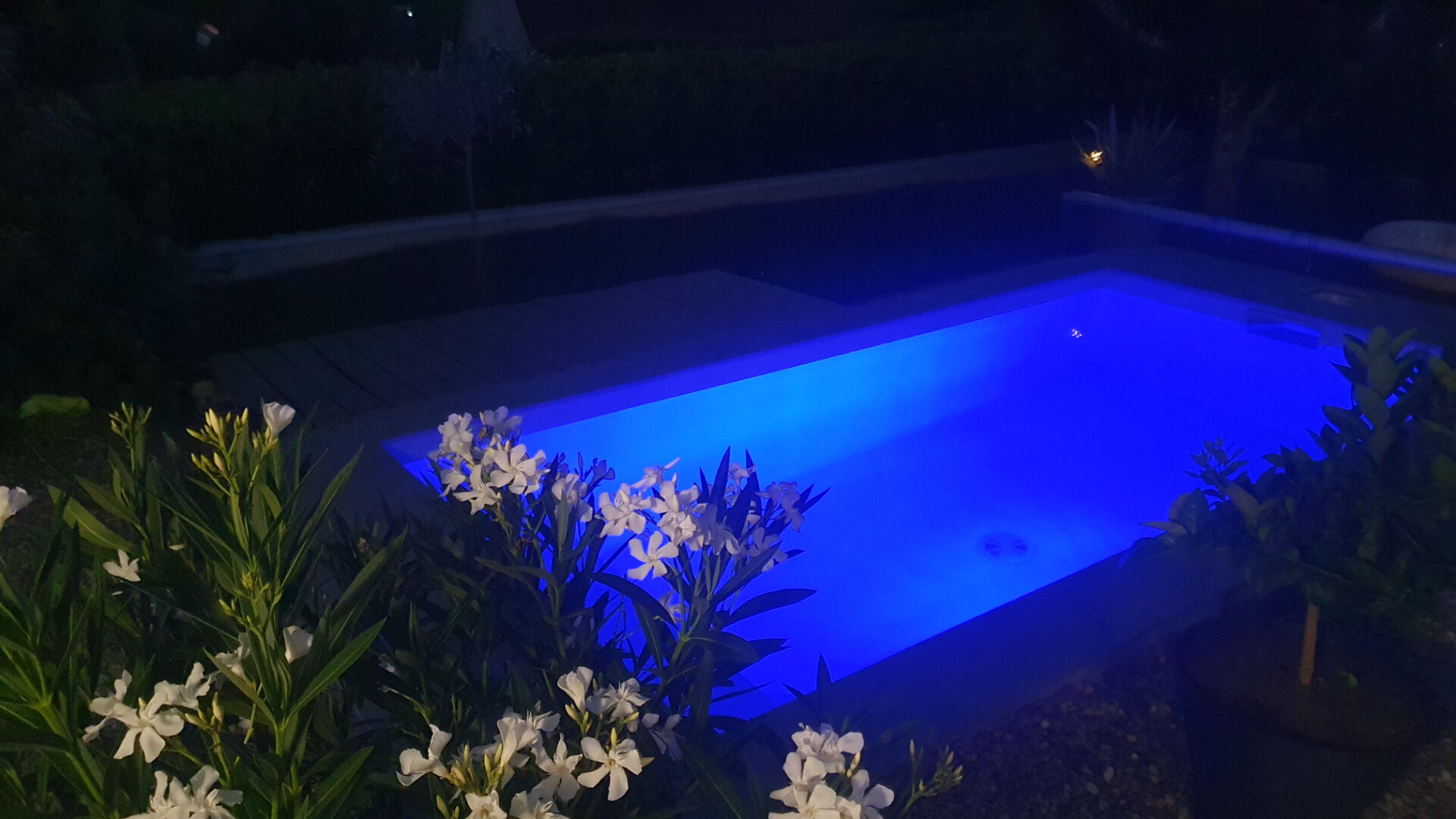 Maison 118 m² à PIREY à vendre annonce immobilière