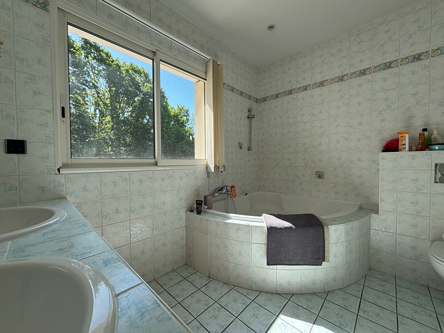 Maison 284 m² à BESANCON à vendre annonce immobilière