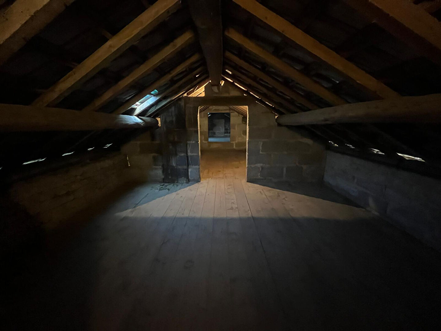 Maison 119 m² à GENEUILLE à vendre annonce immobilière