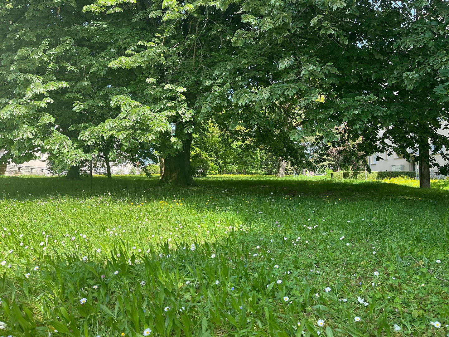 Appartement 75 m² à BESANCON à vendre annonce immobilière